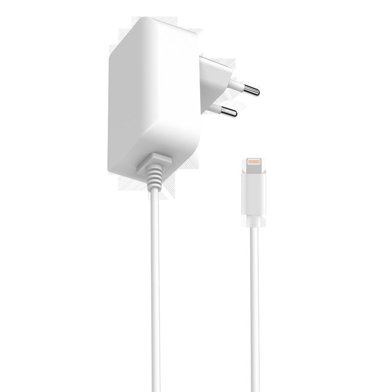 OEM ODM 18W 5V2.4A iPhone European Adapter